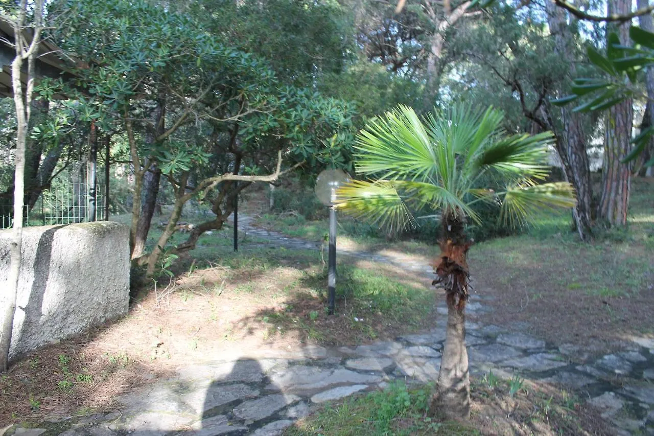 Appartamento La Perla A Soli 100M Dal Mare A Marina Di Castagneto Marina di Castagneto Carducci 0*,  Italië